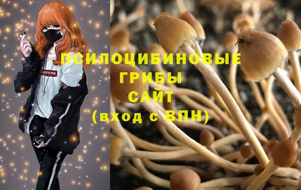 спайс Арсеньев