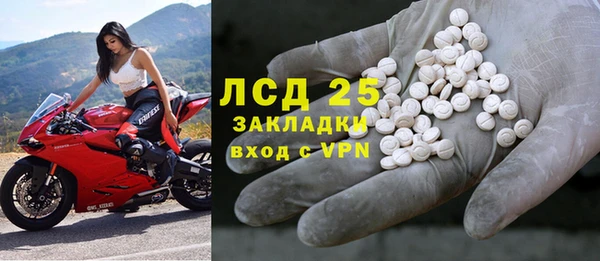 ПСИЛОЦИБИНОВЫЕ ГРИБЫ Армянск