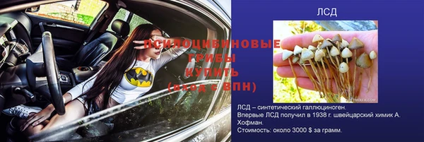 МДПВ Аркадак