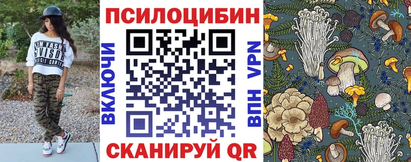 купить наркоту  блэк спрут маркетплейс  Галлюциногенные грибы Cubensis  Сосновый Бор 