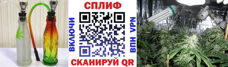 shop формула  Сосновый Бор  МАРИХУАНА OG Kush  купить  